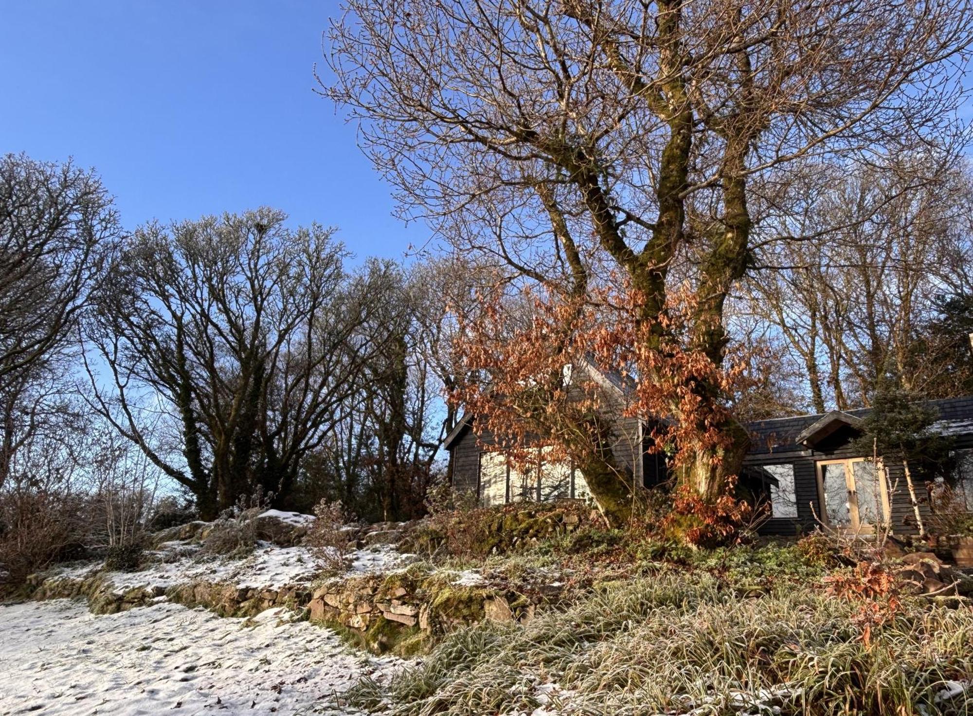 Sligo Forest Retreat Villa Dış mekan fotoğraf